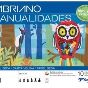 Bloc manualidades 10 hojas papel seda 32x24cm colores surtidos